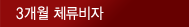 3개월체류비자
