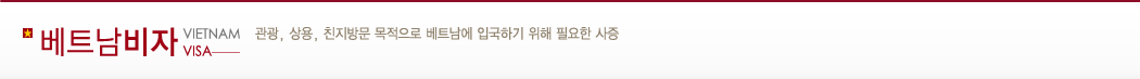 베트남비자
